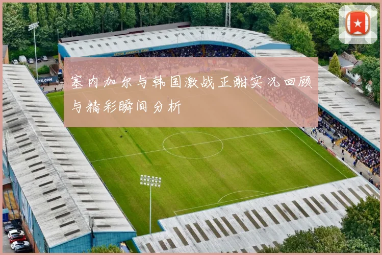 塞内加尔与韩国激战正酣实况回顾与精彩瞬间分析