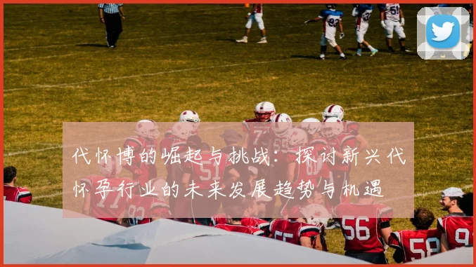代怀博的崛起与挑战：探讨新兴代怀孕行业的未来发展趋势与机遇