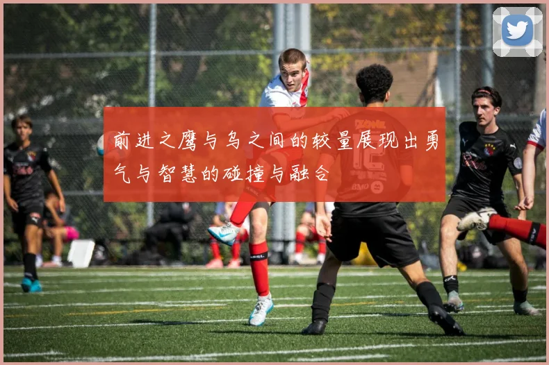 前进之鹰与乌之间的较量展现出勇气与智慧的碰撞与融合